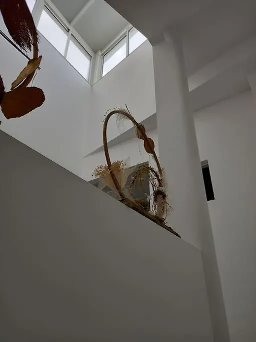 Вилла Casa Perla Ла-Марета